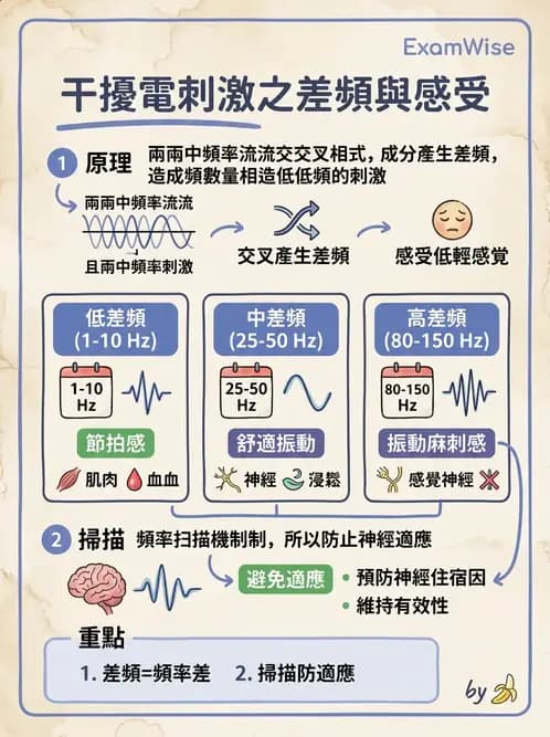 物治 - 中頻干擾波 - AI 圖文解析預覽