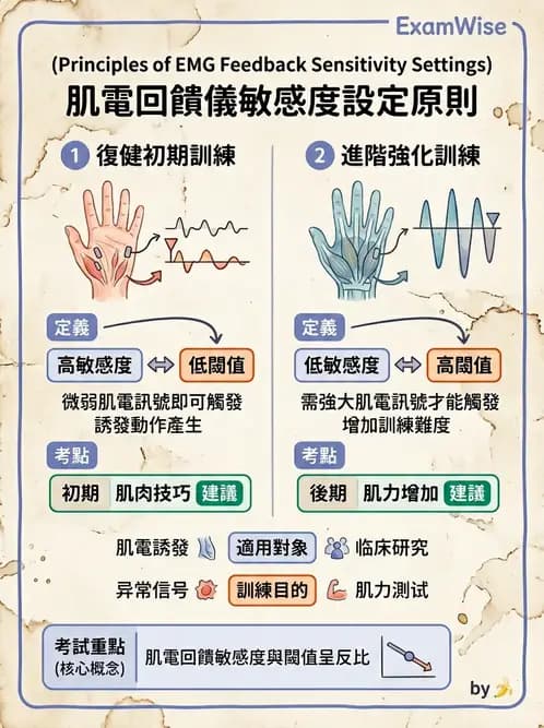 物治 - 肌電生物回饋 - AI 圖文解析預覽