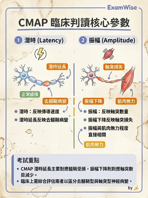 物治 - 電生理診斷 - AI 圖文解析預覽