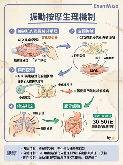 物治 - 瑞典式按摩與運動按摩 - AI 圖文解析預覽