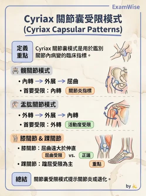 物治 - 鬆動術基礎概念與原則 - AI 圖文解析預覽