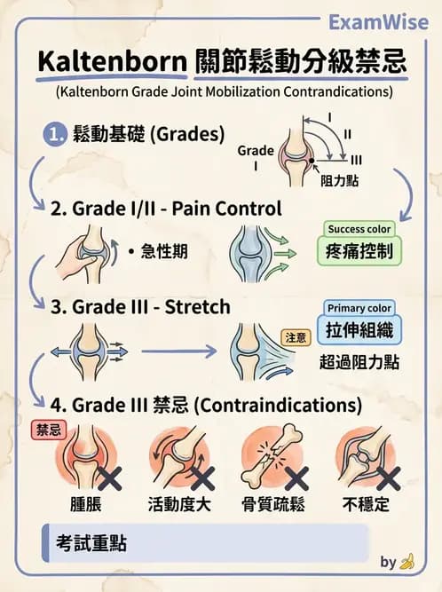 物治 - 鬆動術分級理論 - AI 圖文解析預覽