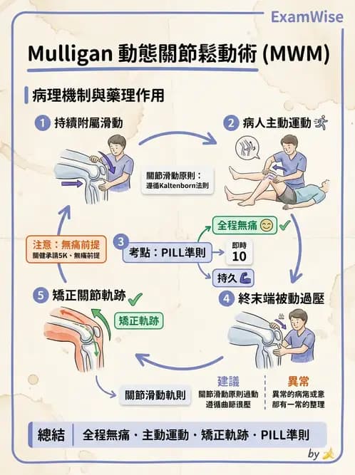 物治 - 鬆動術臨床應用 - AI 圖文解析預覽