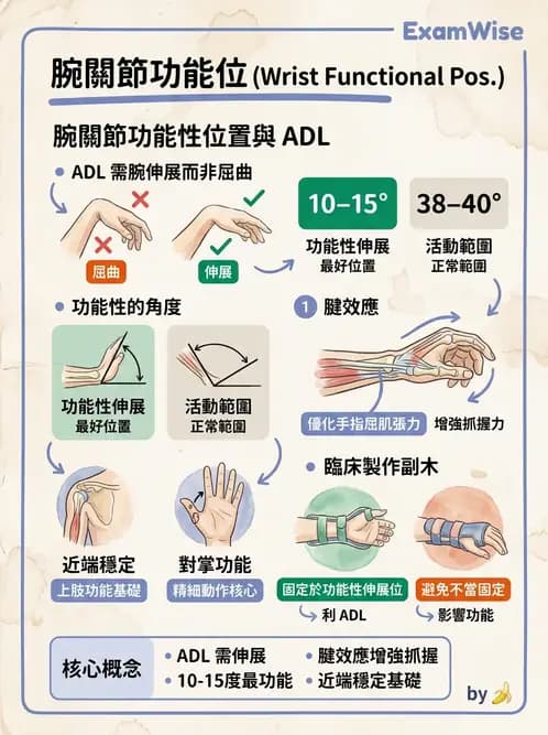 物治 - 功能評估與再教育 - AI 圖文解析預覽