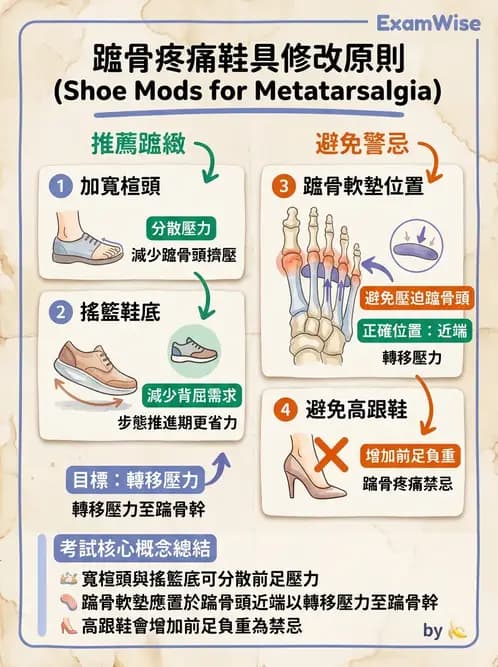 物治 - 裝具與矯具 - AI 圖文解析預覽