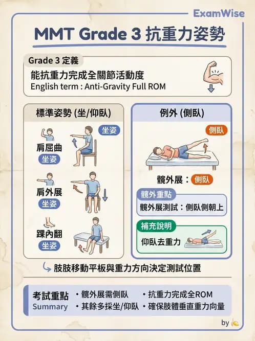 物治 - MMT通則、頭頸與軀幹 - AI 圖文解析預覽