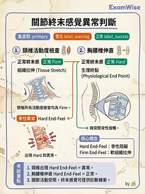 物治 - ROM通則與關節運動 - AI 圖文解析預覽