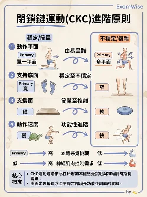 物治 - 肌力訓練方法 - AI 圖文解析預覽