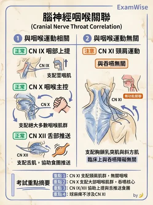 物治 - 動作控制理論 - AI 圖文解析預覽