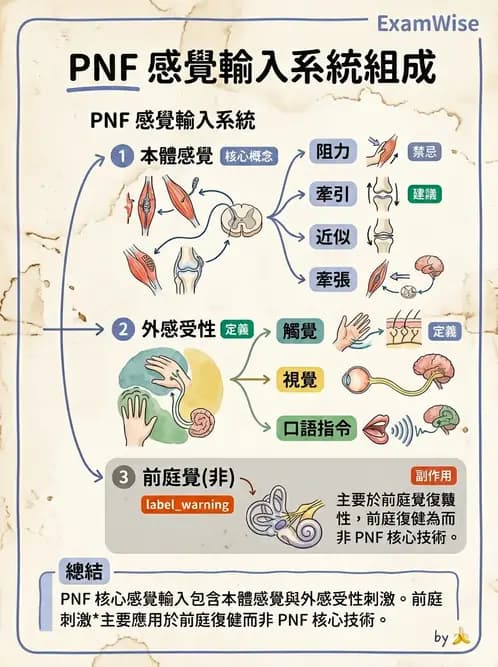 物治 - 神經治療學派技術 - AI 圖文解析預覽