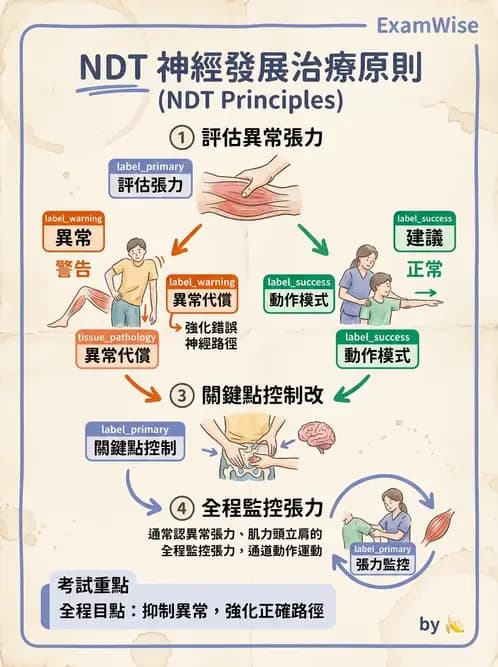 物治 - 神經治療學派技術 - AI 圖文解析預覽