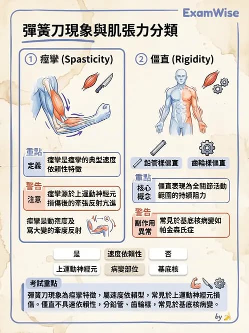 物治 - 神經物理治療評估工具 - AI 圖文解析預覽