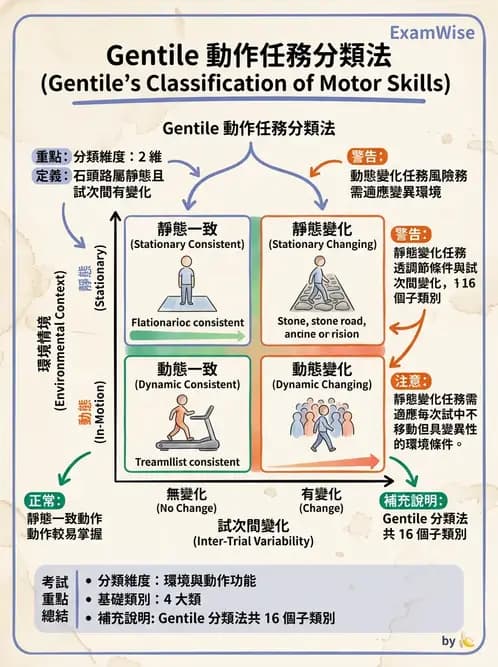 物治 - 動作學習 - AI 圖文解析預覽