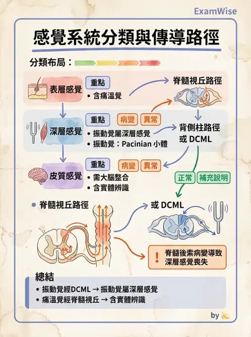 物治 - 動作控制理論 - AI 圖文解析預覽