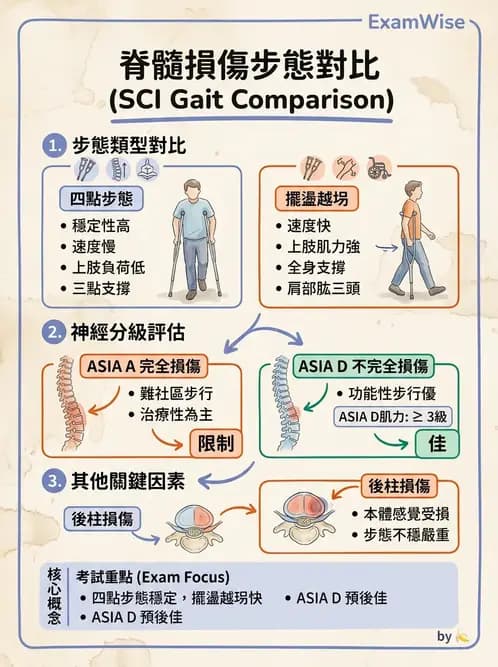 物治 - SCI功能預後與復健訓練 - AI 圖文解析預覽