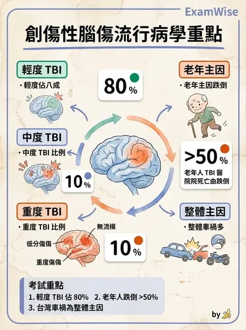 物治 - TBI病理評估與GCS - AI 圖文解析預覽