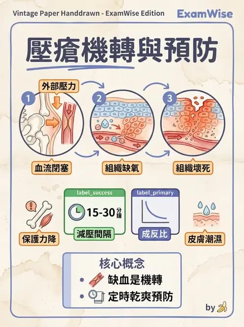 物治 - SCI併發症與呼吸管理 - AI 圖文解析預覽