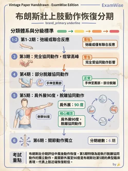物治 - 腦中風動作評估與分期 - AI 圖文解析預覽
