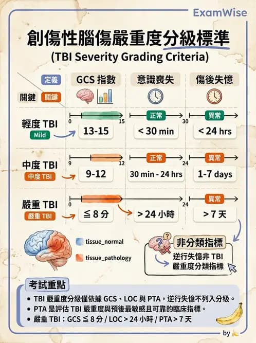 物治 - TBI病理評估與GCS - AI 圖文解析預覽
