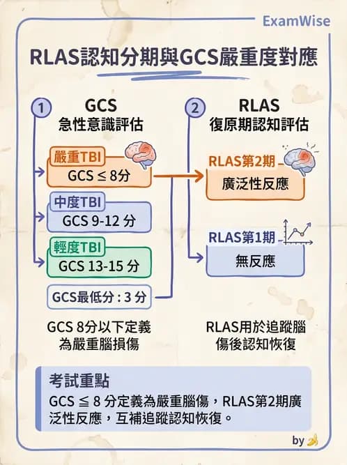 物治 - TBI LOCF分級與復健 - AI 圖文解析預覽