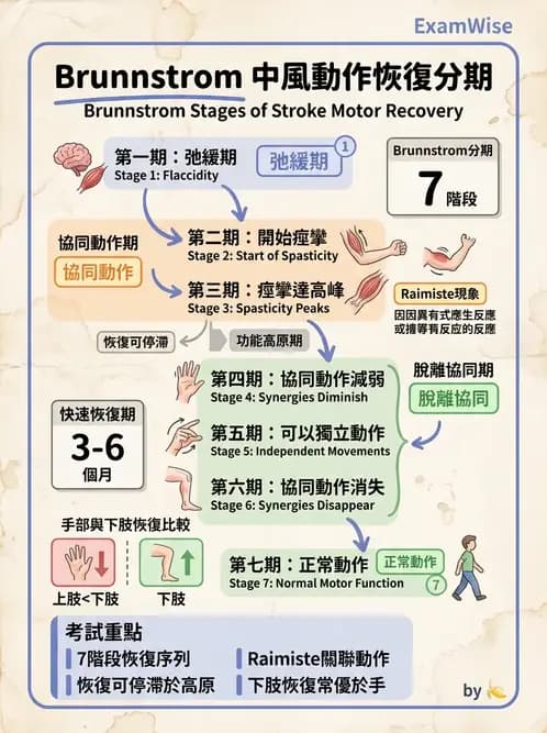 物治 - 腦中風動作評估與分期 - AI 圖文解析預覽