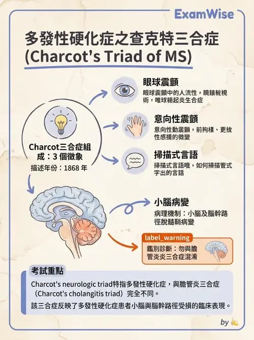 物治 - 多發性硬化症物理治療 - AI 圖文解析預覽