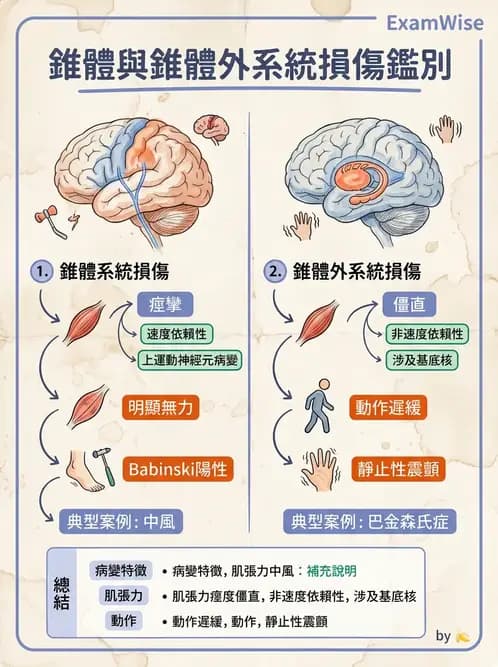 物治 - 動作控制理論 - AI 圖文解析預覽
