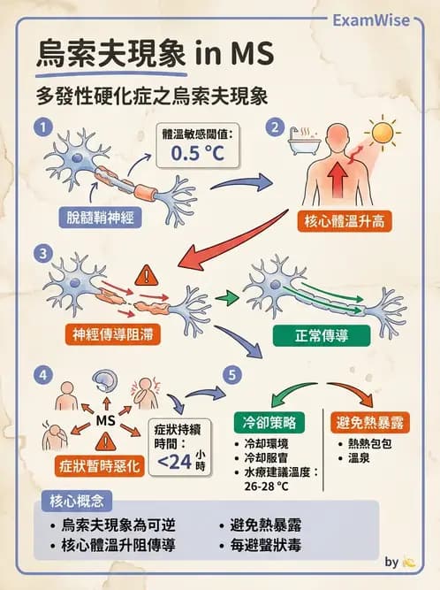 物治 - 多發性硬化症物理治療 - AI 圖文解析預覽