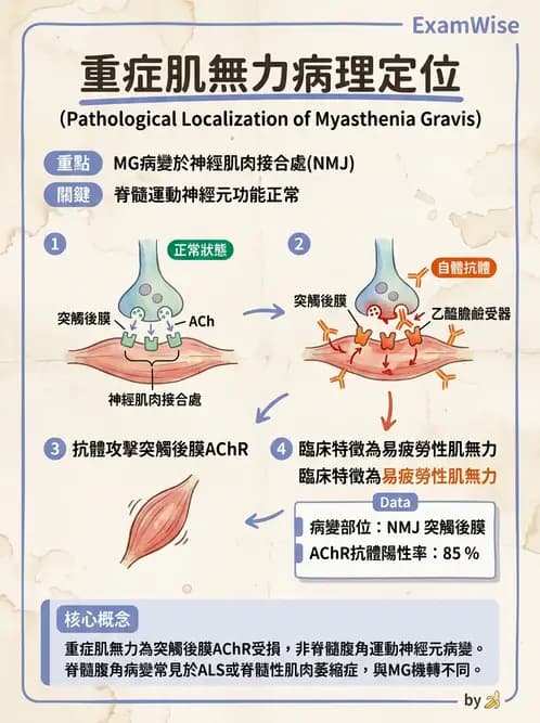 物治 - 神經肌肉疾病 - AI 圖文解析預覽