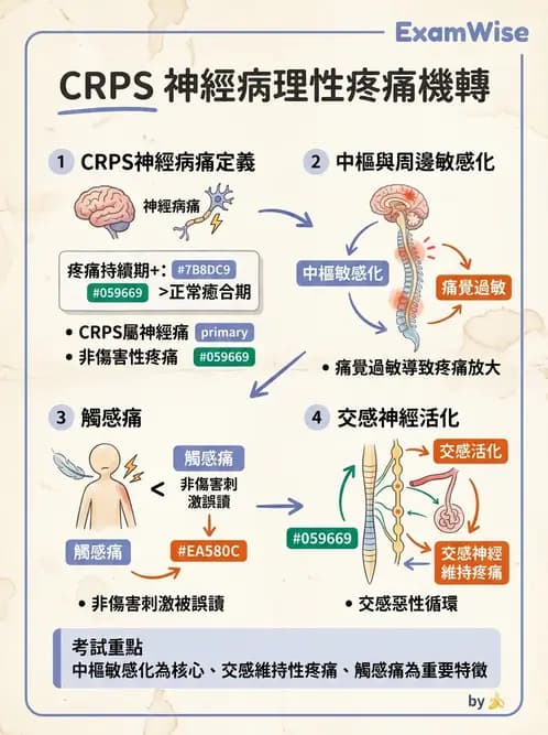 物治 - 周邊神經損傷與復健 - AI 圖文解析預覽