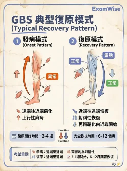 物治 - 神經肌肉疾病 - AI 圖文解析預覽
