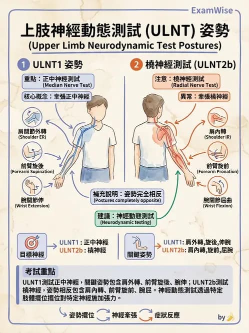 物治 - 頸椎評估與病理 - AI 圖文解析預覽