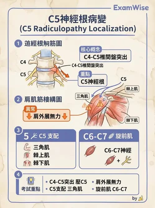 物治 - 頸椎評估與病理 - AI 圖文解析預覽