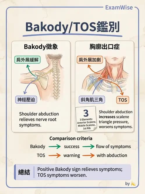 物治 - 頸椎評估與病理 - AI 圖文解析預覽