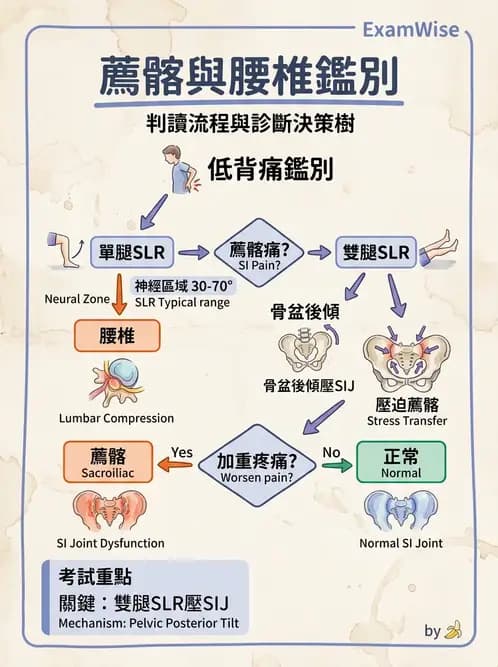 物治 - 薦髂關節評估與治療 - AI 圖文解析預覽