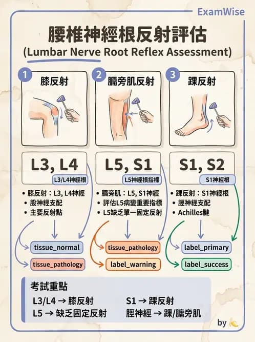 物治 - 腰椎椎間盤與脊椎狹窄 - AI 圖文解析預覽