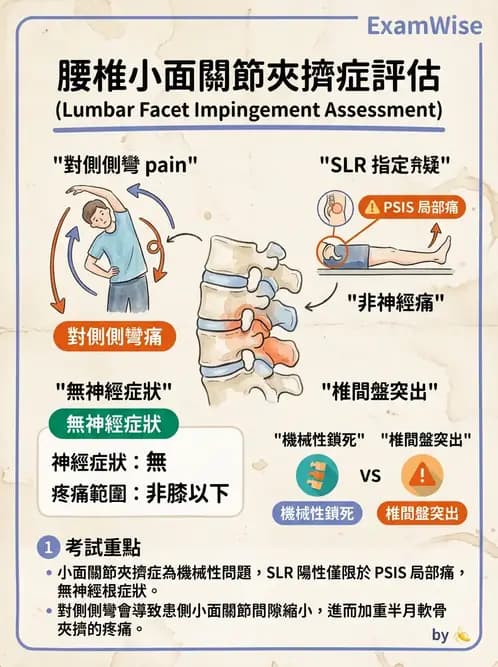 物治 - 腰椎椎間盤與脊椎狹窄 - AI 圖文解析預覽