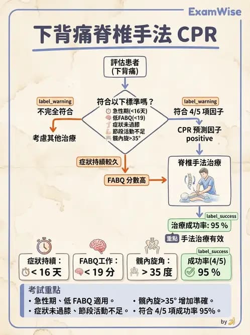 物治 - 腰椎穩定訓練與治療原則 - AI 圖文解析預覽