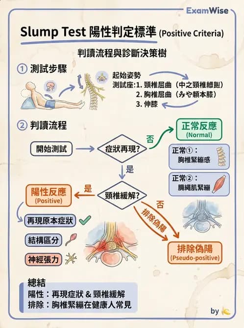 物治 - 腰椎椎間盤與脊椎狹窄 - AI 圖文解析預覽