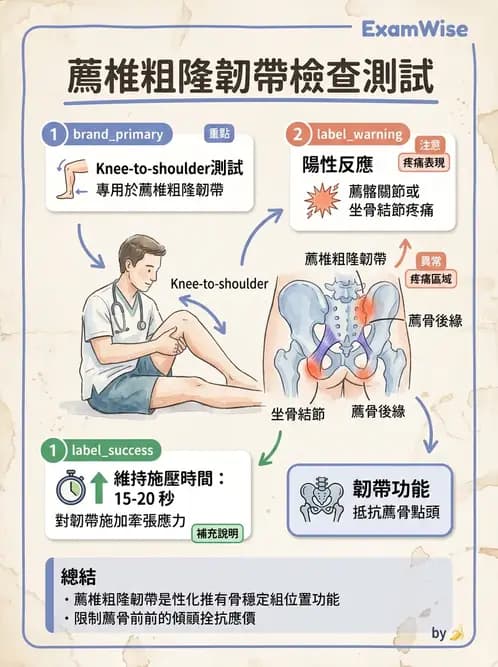 物治 - 薦髂關節評估與治療 - AI 圖文解析預覽