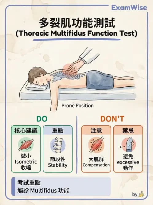 物治 - 胸椎與肋骨 - AI 圖文解析預覽