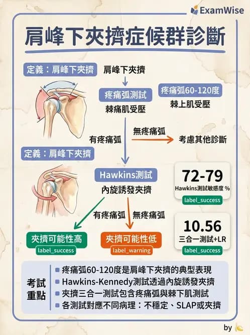 物治 - 肩關節夾擠與旋轉肌袖 - AI 圖文解析預覽