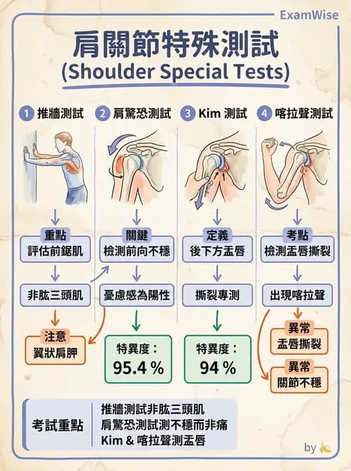 物治 - 肩關節不穩定與盂唇損傷 - AI 圖文解析預覽
