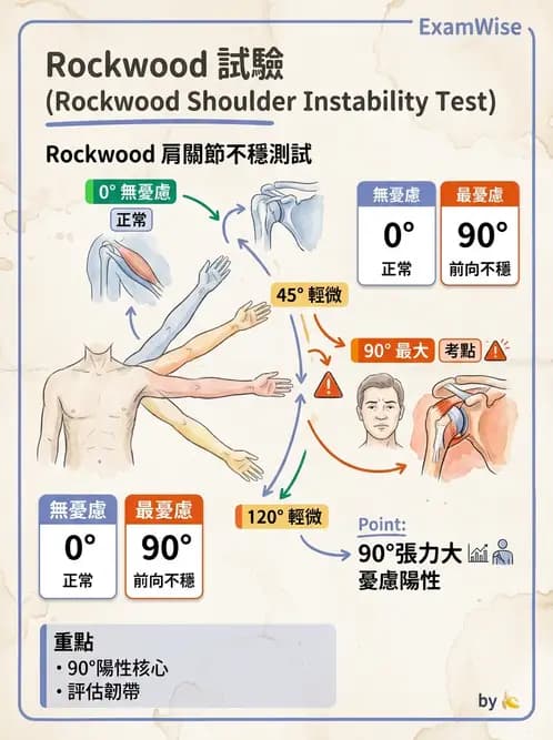 物治 - 肩關節不穩定與盂唇損傷 - AI 圖文解析預覽