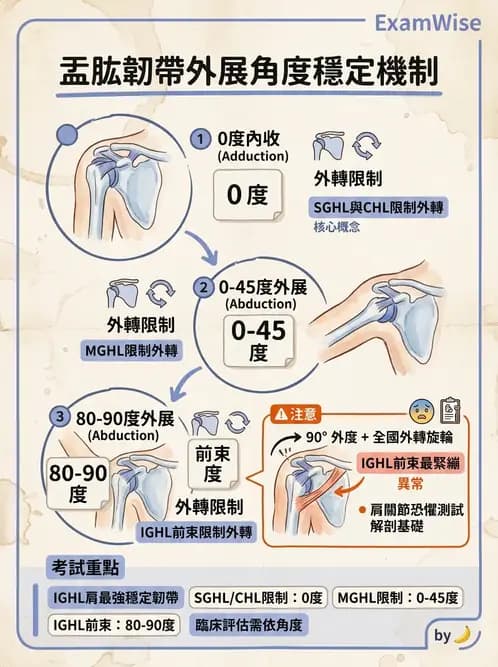物治 - 肩關節不穩定與盂唇損傷 - AI 圖文解析預覽