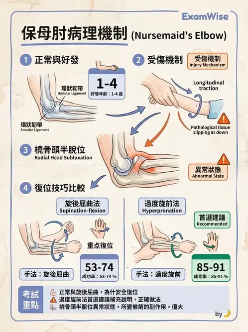物治 - 肘及前臂關節 - AI 圖文解析預覽