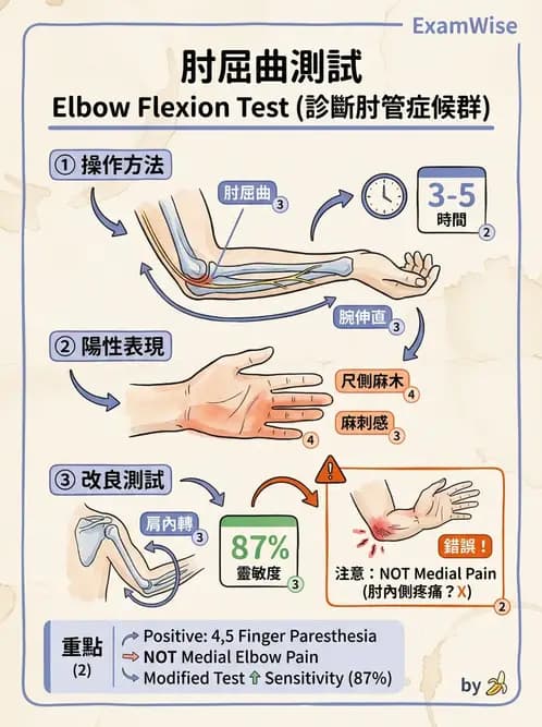 物治 - 肘及前臂關節 - AI 圖文解析預覽