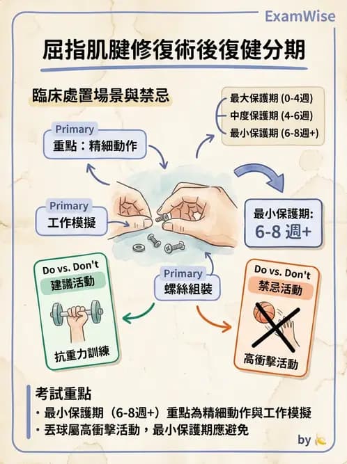 物治 - 手部肌腱損傷與變形 - AI 圖文解析預覽