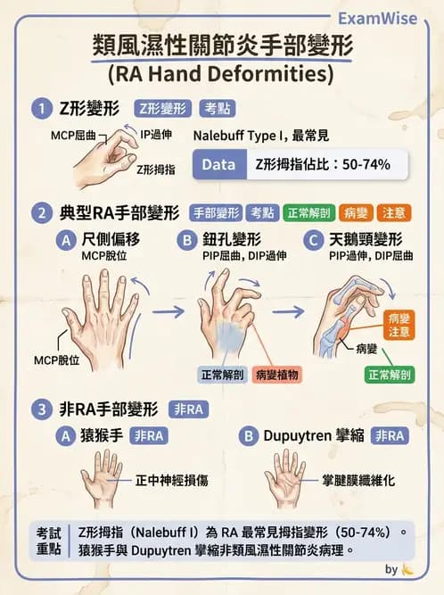 物治 - 手部肌腱損傷與變形 - AI 圖文解析預覽