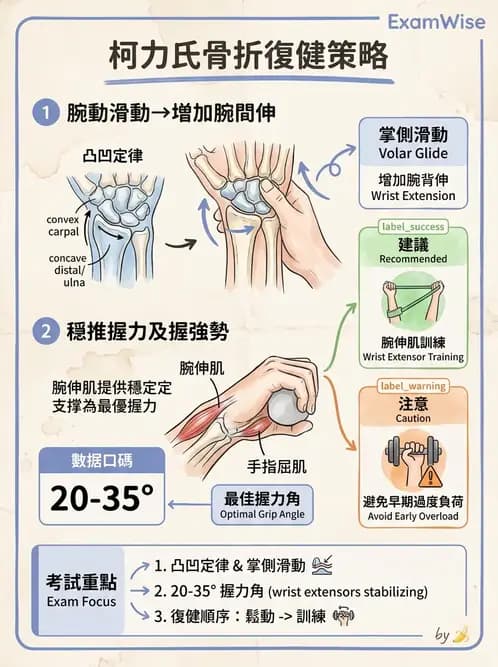 物治 - 腕關節疾病 - AI 圖文解析預覽